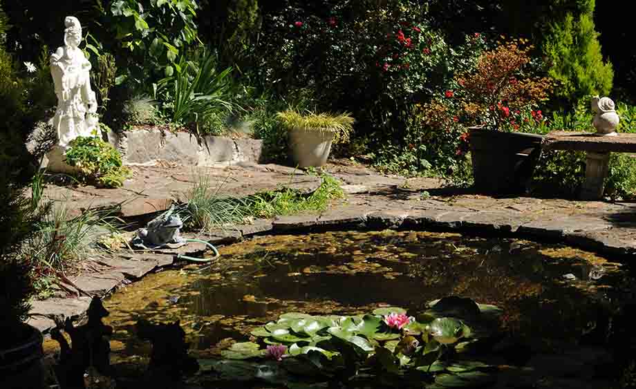 Un bassin de jardin