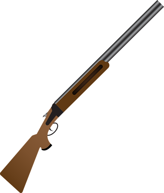 Une arme de chasse