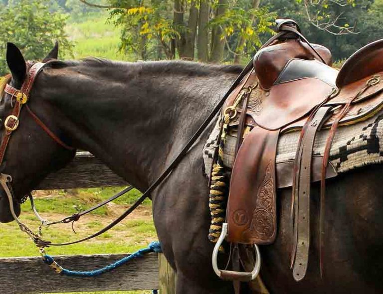ENSEMBLE DE SELLE de cheval de siège profond occidental en cuir course