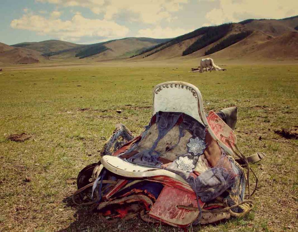 L'étape d'une randonnée à cheval de plusieurs jours en Mongolie