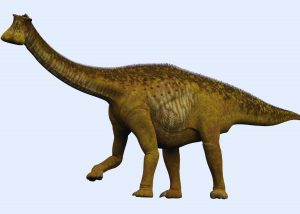 Nigersaurus (dinosaure)
