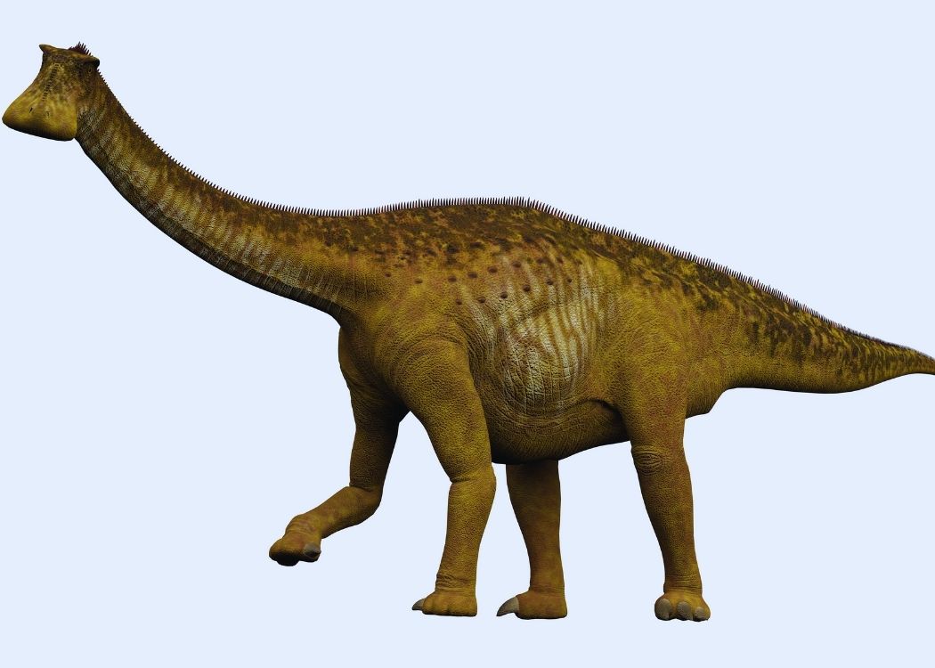 Nigersaurus (dinosaure)