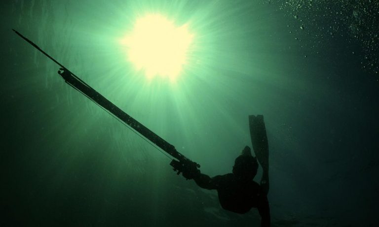 Un plongeur sous l'eau avec un harpon