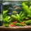 Comment oxygéner un aquarium naturellement ?
